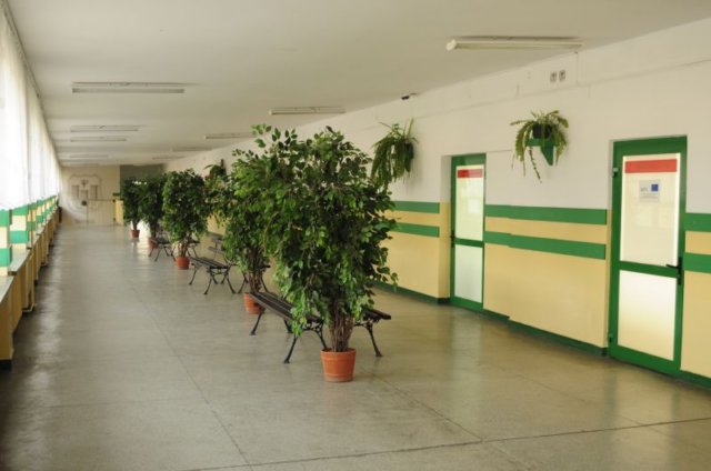 photo12.jpg