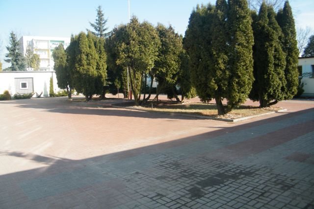 photo4.jpg